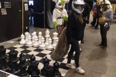 506037536_3101654636659319_732255609111139612_n
